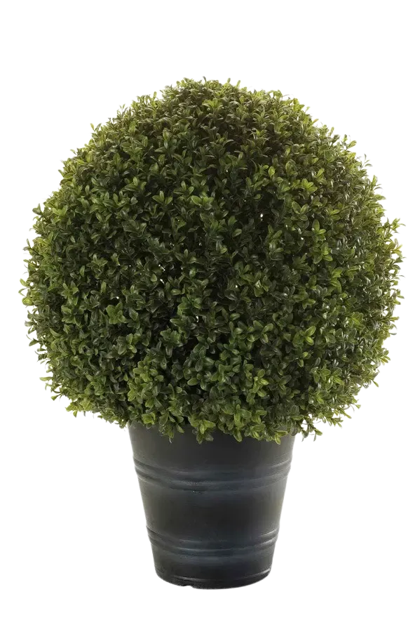 Künstlicher Buchsbaum - Lynn | 68 cm