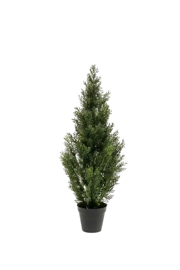 Künstliche Zeder - Mira | 90 cm