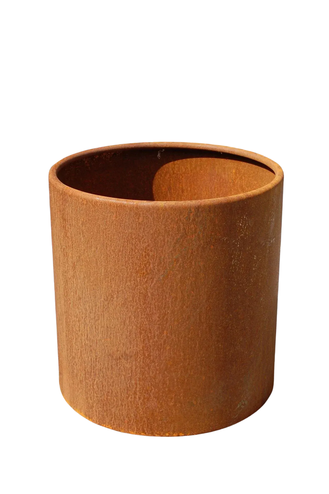 ERKODENT Erkoloc-pro - Packung 10 Stück Ø 120 mm, Stärke 2 mm