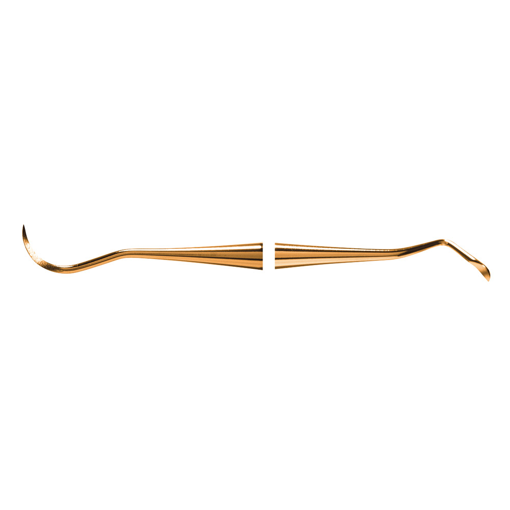 Scaler N1 XPX AE St