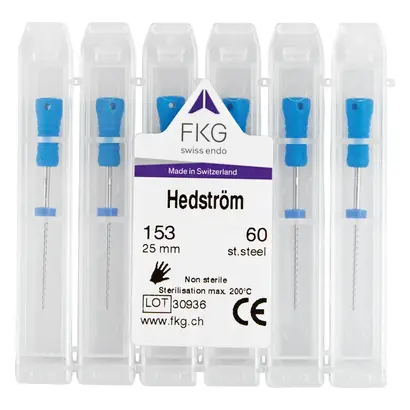 FKG Dentaire SA FKG hedström Edelstahl Handfeilen ISO060 25mm Pa 6