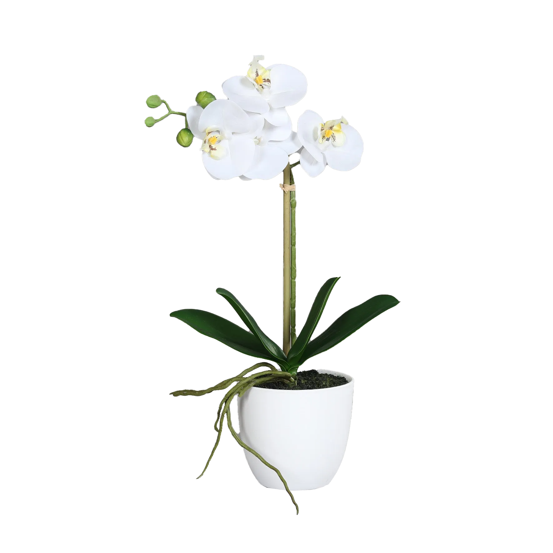 60157-05_Kuenstliche_Orchidee__Nori__40_cm Künstliche Orchidee - Nori | 40 cm
