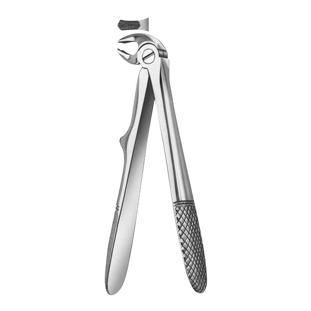 Zahnzange 280/6 UK Molaren Kind St