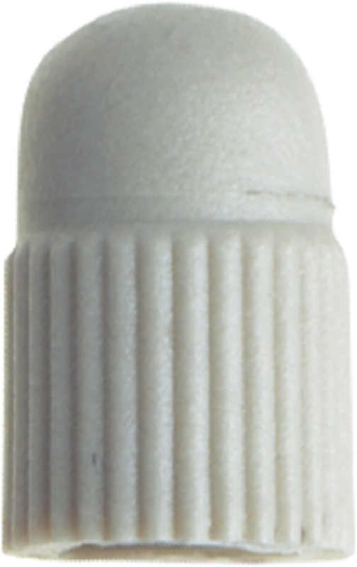 Piezo-Cem Teflon Kappen F00397 10St