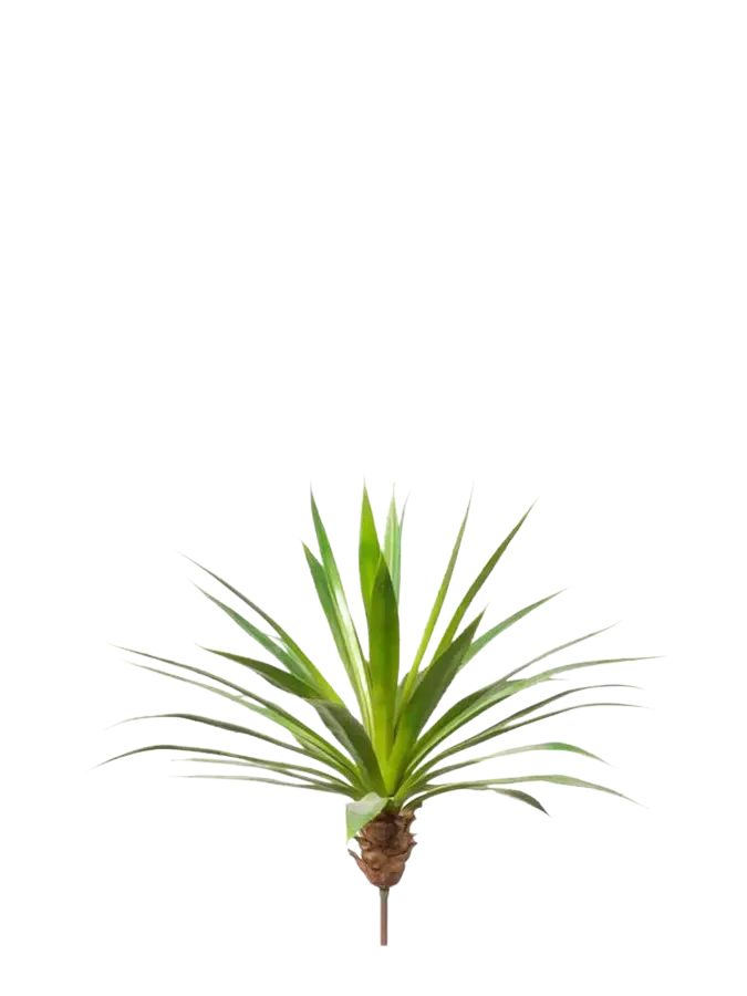 Künstliche Agave - Ole | 60 cm