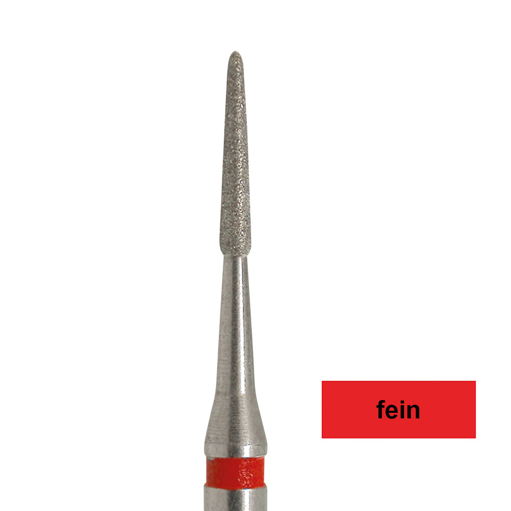 Diamant WstL 849L 012 F fein 5St