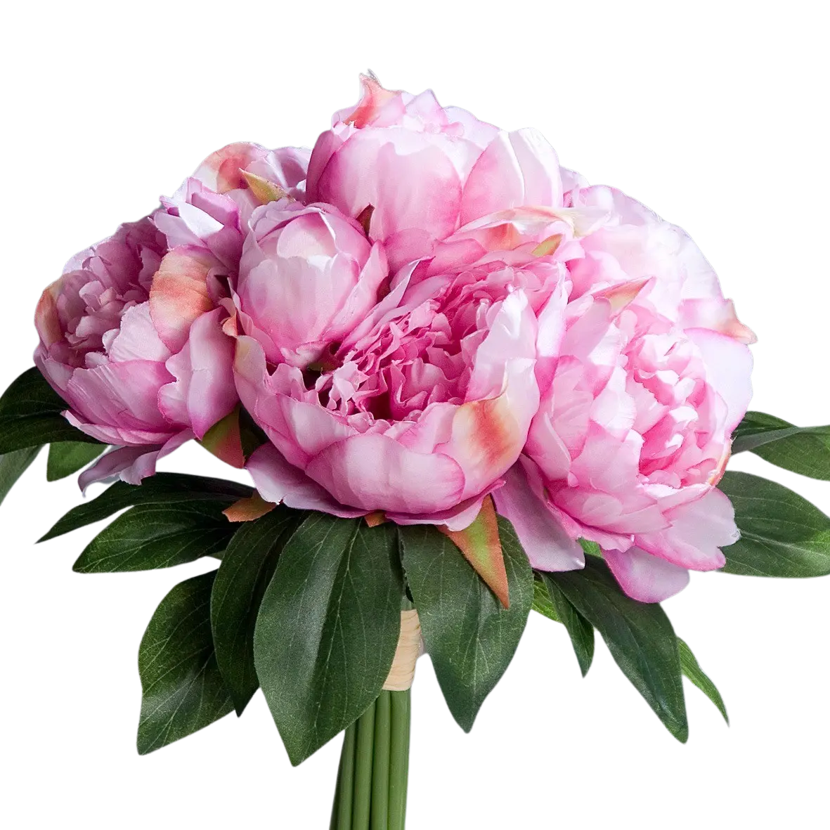 aplanta-40045-20_aplantaKuenstliche_Pfingstrose__Franzi__30_cm Künstliche Pfingstrose - Franzi | 30 cm