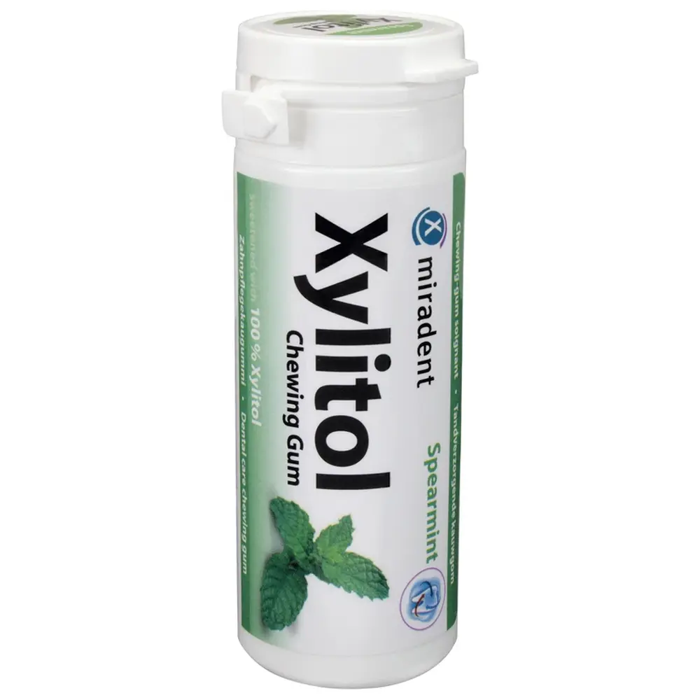 Hager & Werken Xylitol Chewing Gum - Dose 30 Stück Minze