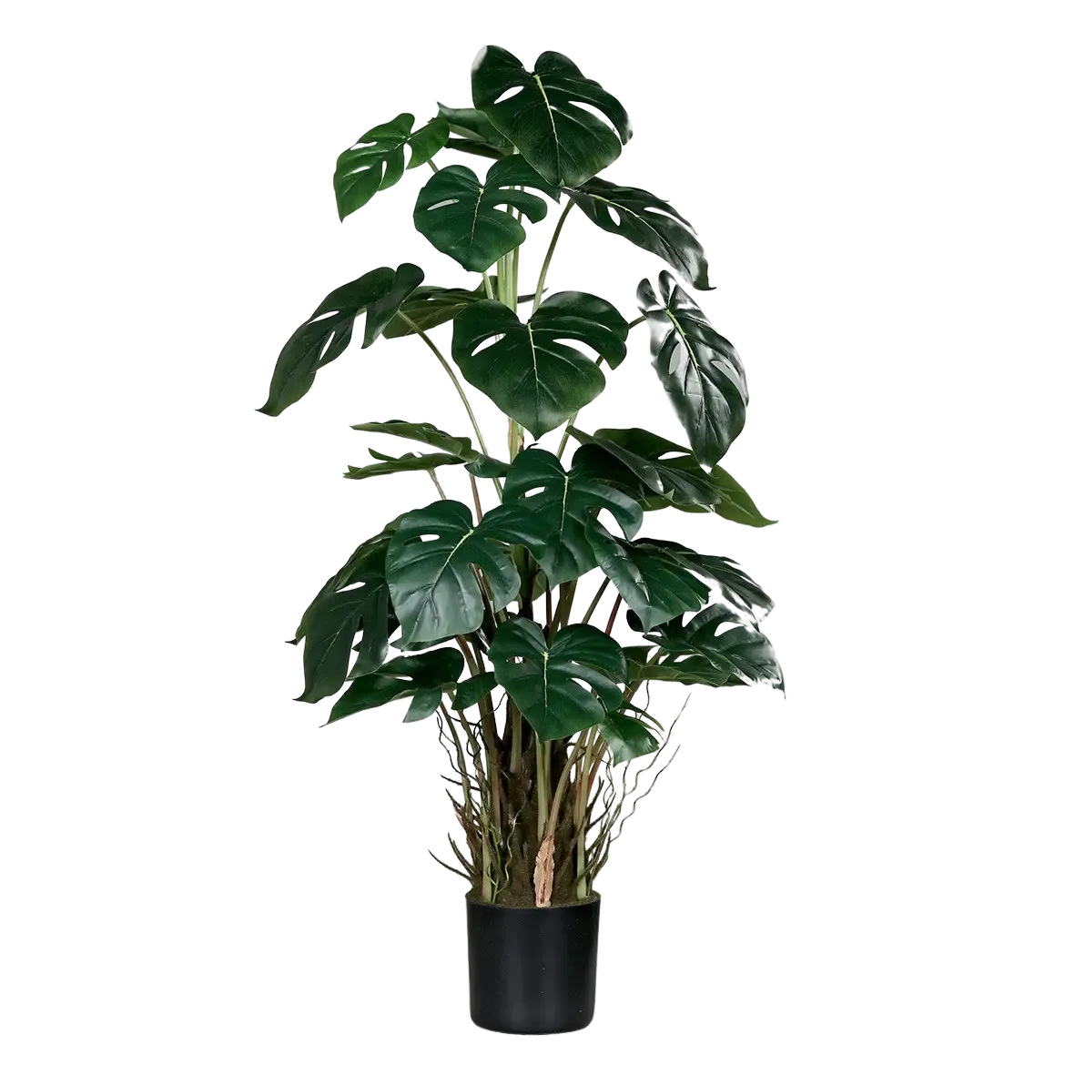 Künstliche Monstera - Jochen | 82 cm