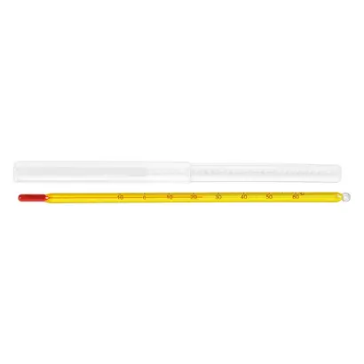 Dürr Dental SE Thermometer St