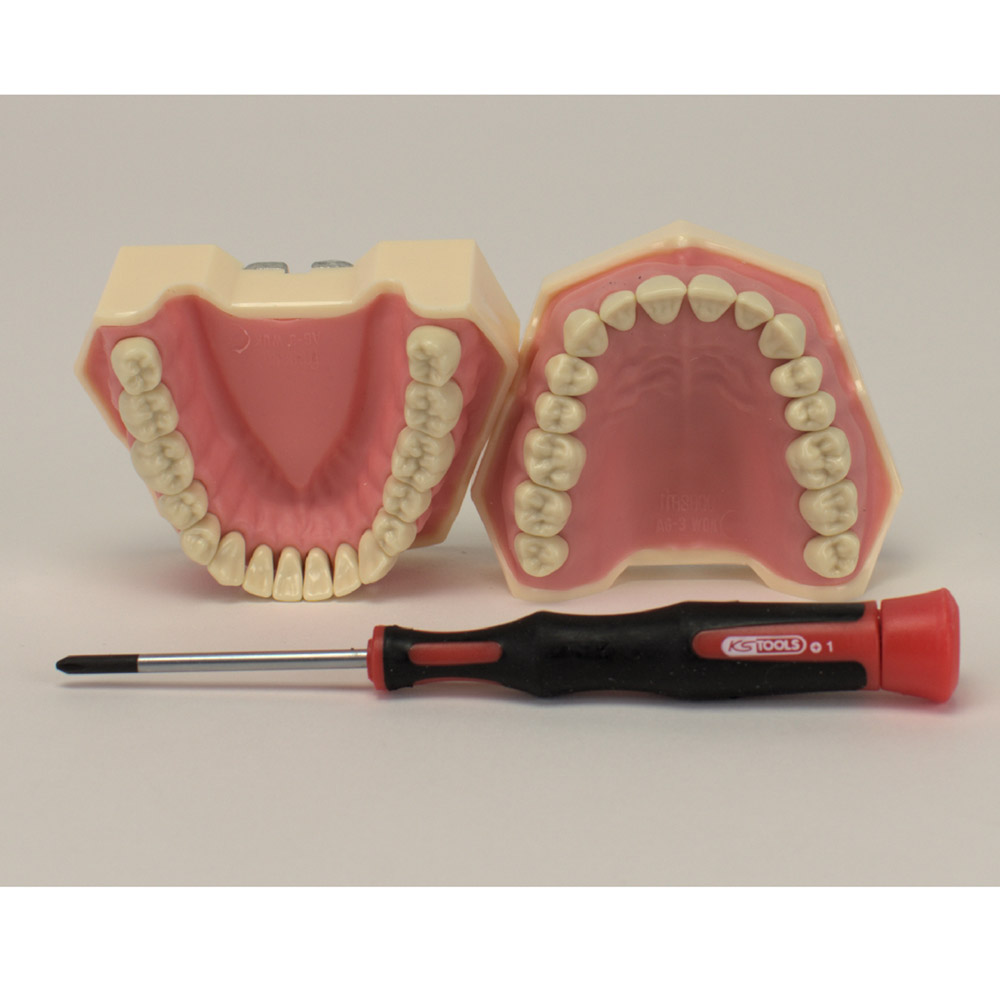 Frasaco Modell AG-3 OK+UK St