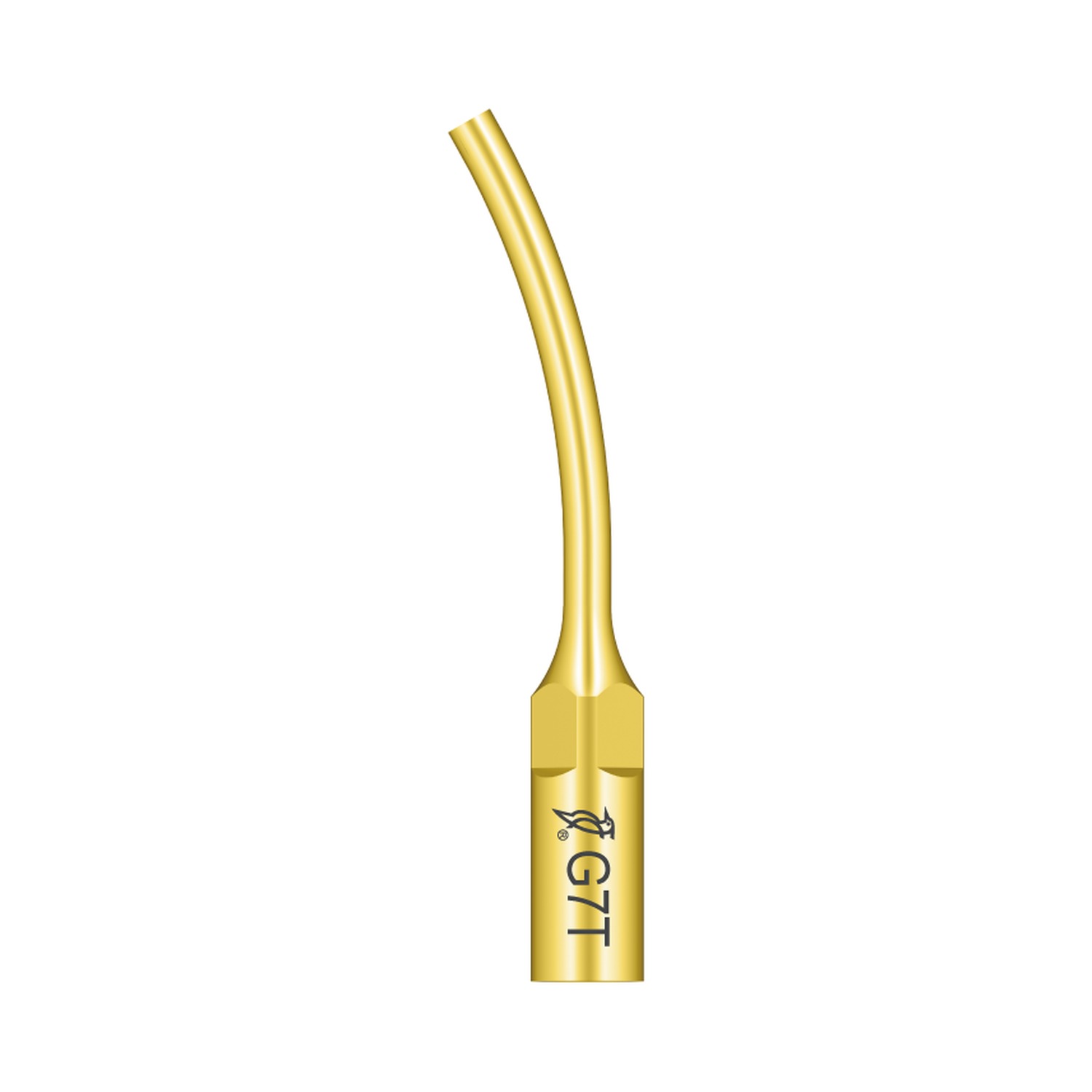 Woodpecker Ultraschallspitze G7T passend für den Einsatz mit EMS®