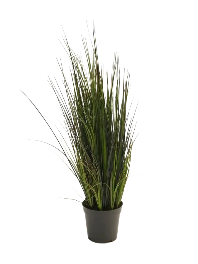 aplanta-11.591C_aplantaKuenstliches_Gras__Hanno__60_cm Künstliches Gras - Hanno | 60 cm