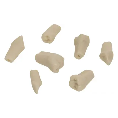 87453.0_Dentalartikel_DentaTec