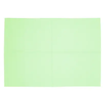 Medicom GmbH SafeBasics Dry-Back Patientenserv. 33x45,5cm grün Pa 500