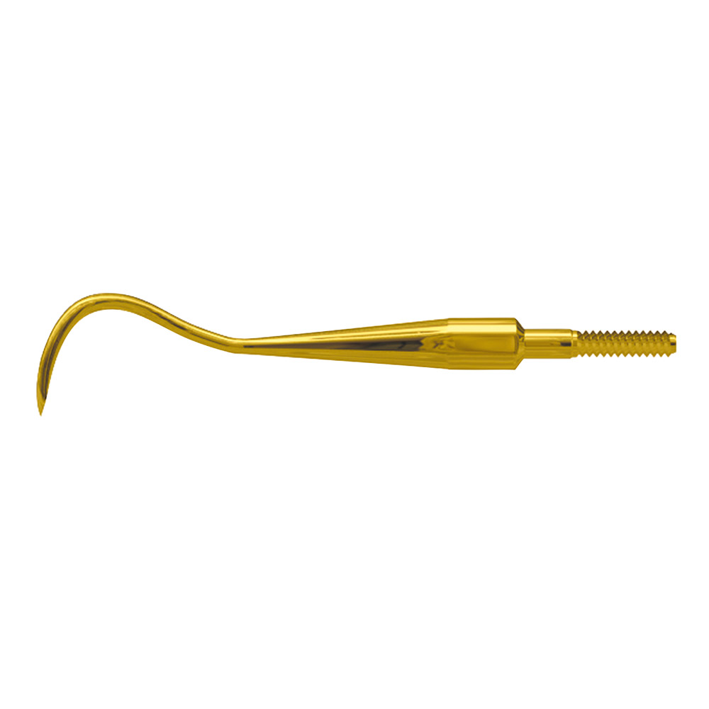 Scaler Eagle Claw B XP Quick Tip AE St