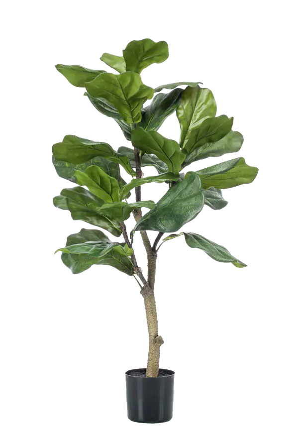 Künstlicher Ficus Lyrata - Mona | 90 cm