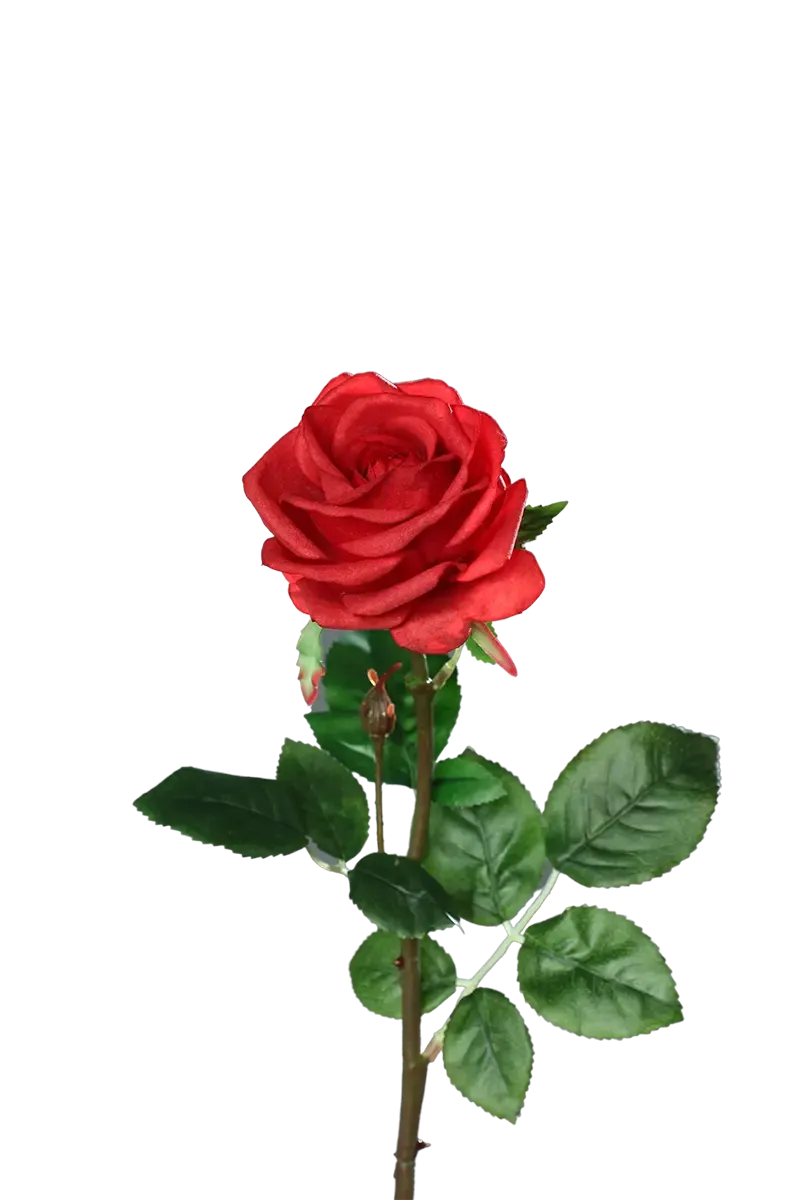 aplanta-43359-02_aplantaKuenstliche_Rose__Philipos__66_cm Künstliche Rose - Philipos | 66 cm