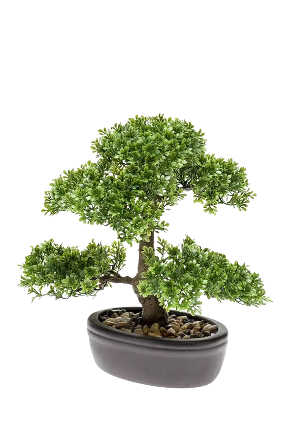 Künstlicher Ficus Bonsai - Yui | 32 cm