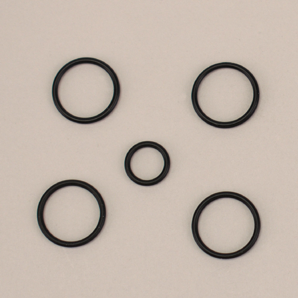 O-Ring f. Prophy Mate Ptl 5er Set