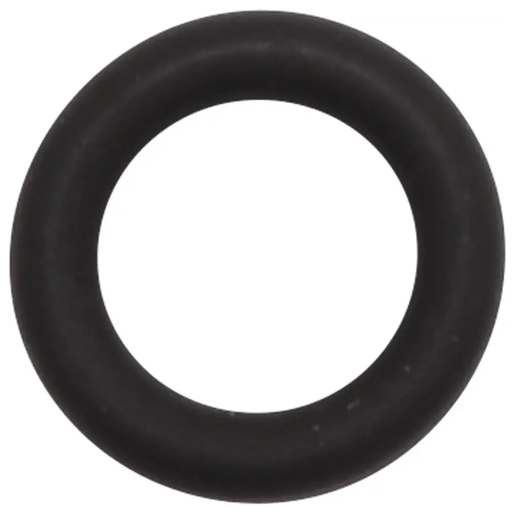 EMS AIR-FLOW® Prophylaxis Master Dichtring - Stück schwarz