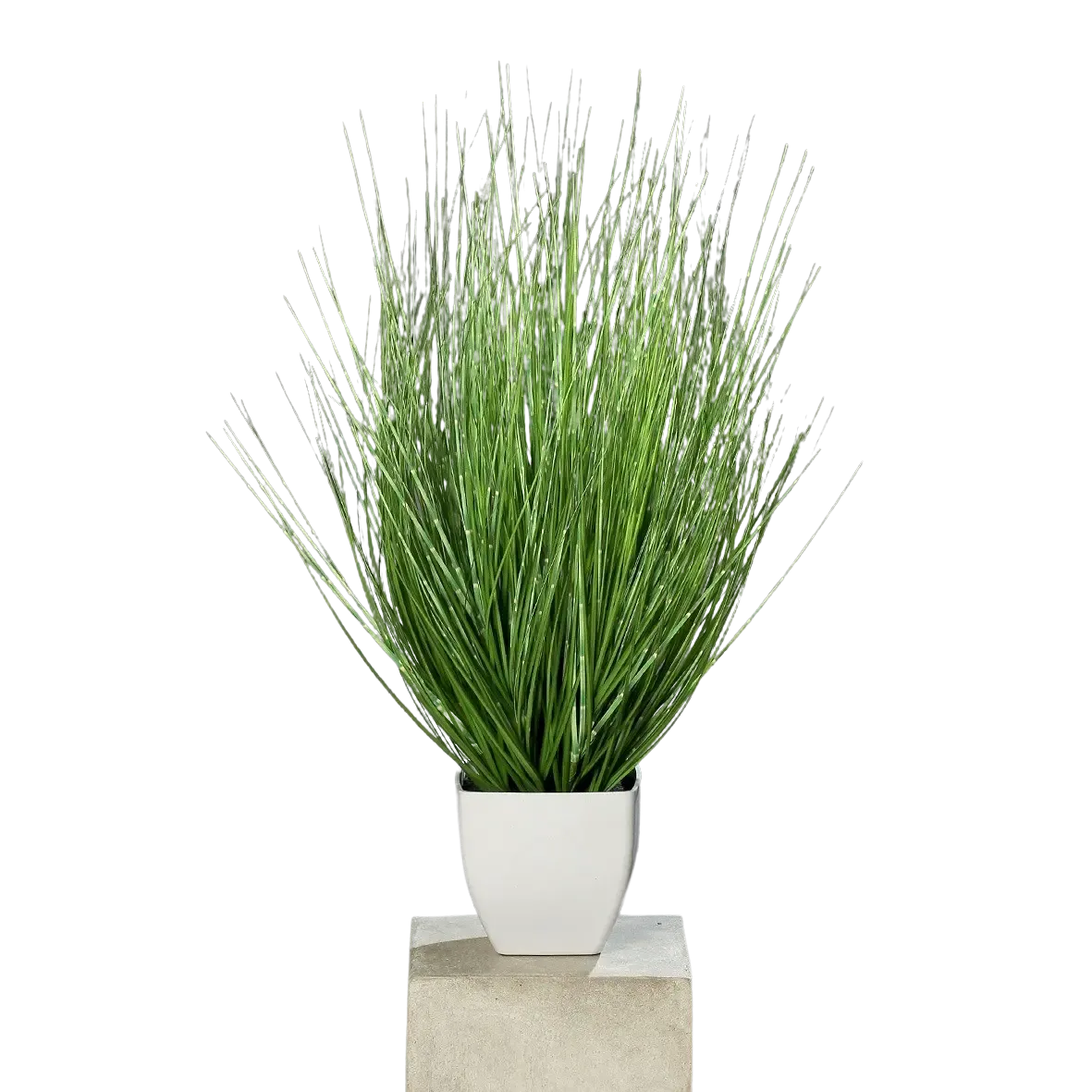 Künstliches California-Beach-Gras - Arian | 60 cm