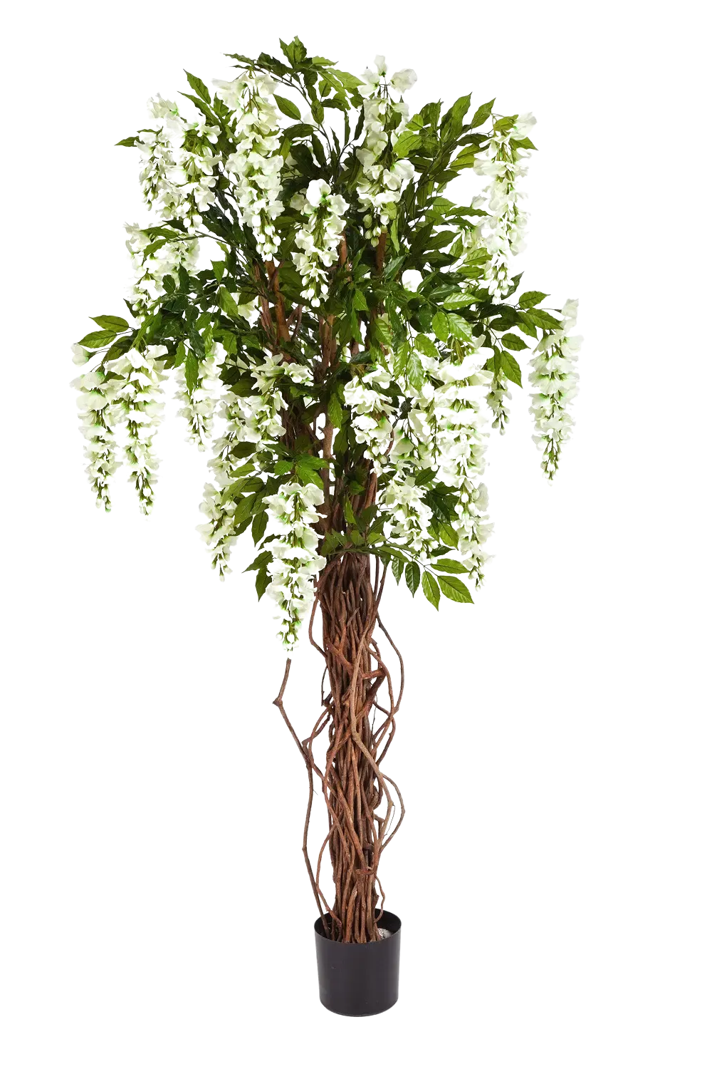 aplanta-42206W_aplantaKuenstliche_Wisteria_Liana__Ria__180_cm