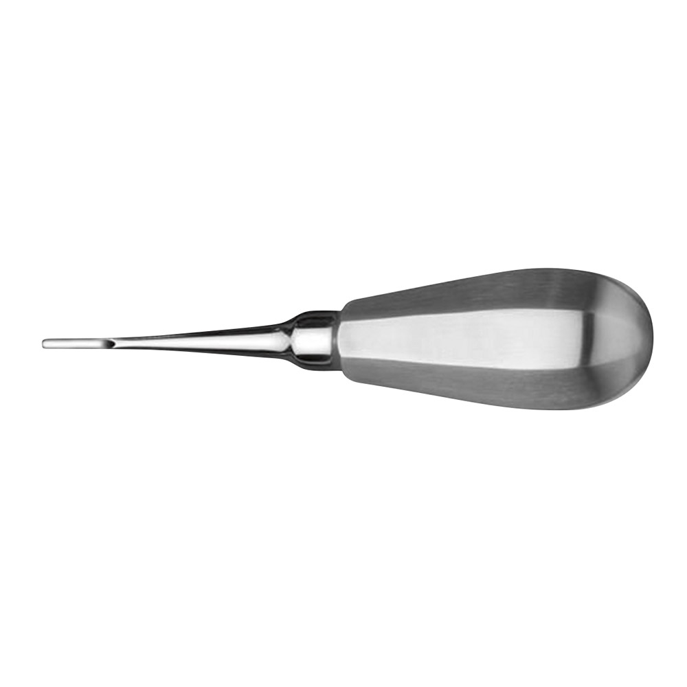 Wurzelheber 558/ 6 St
