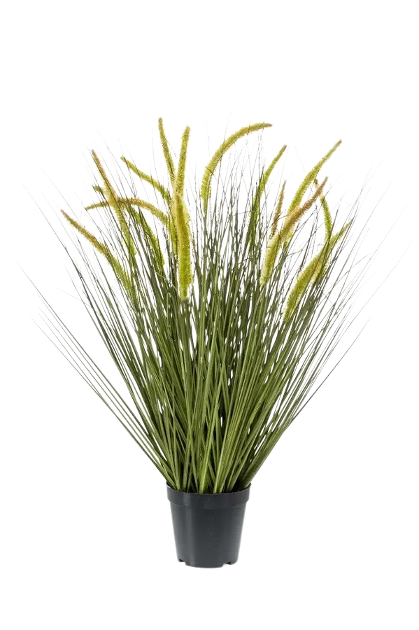 aplanta-422235_aplantaKuenstliches_Gras__Jonna__70_cm Künstliches Gras - Jonna | 70 cm