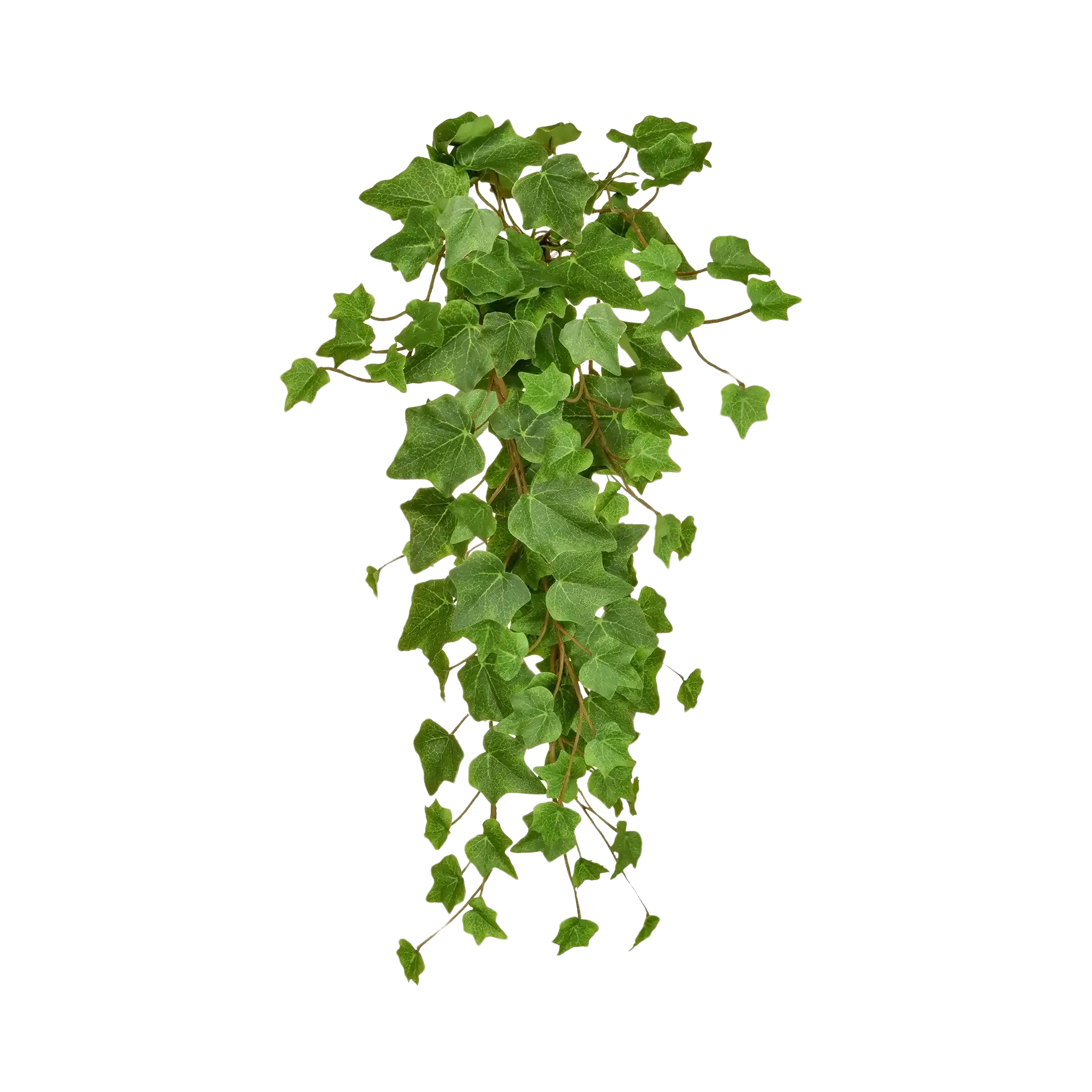 aplanta-TL2964_aplantaKuenstlicher_HaengeEfeu__Michael__55_cm Künstlicher Hänge-Efeu - Michael | 55 cm