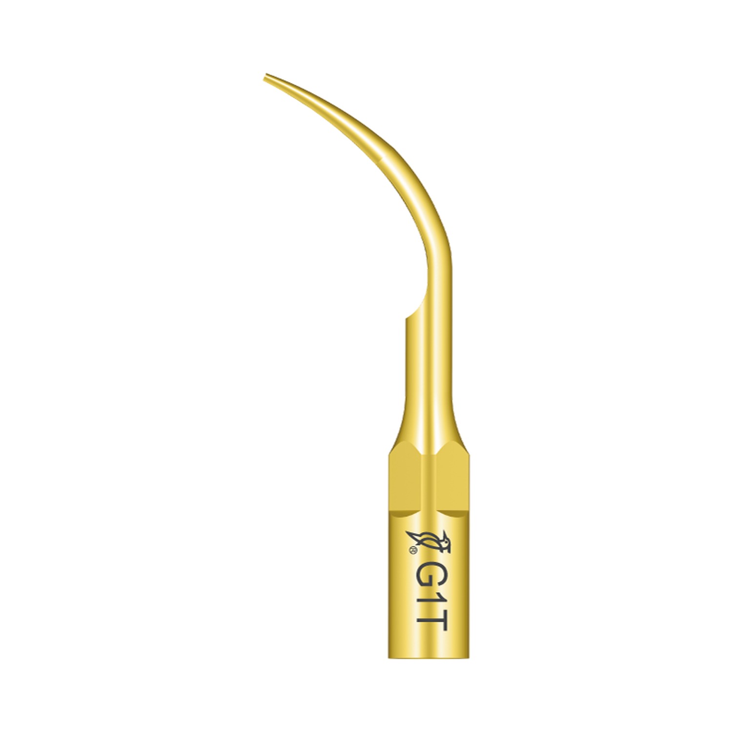 Woodpecker Ultraschallspitze G1T passend für den Einsatz mit EMS®