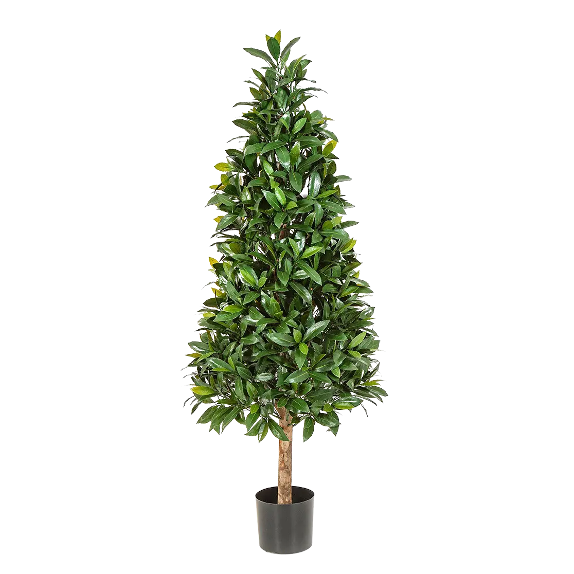 Künstlicher Lorbeer - Tamina | 140 cm