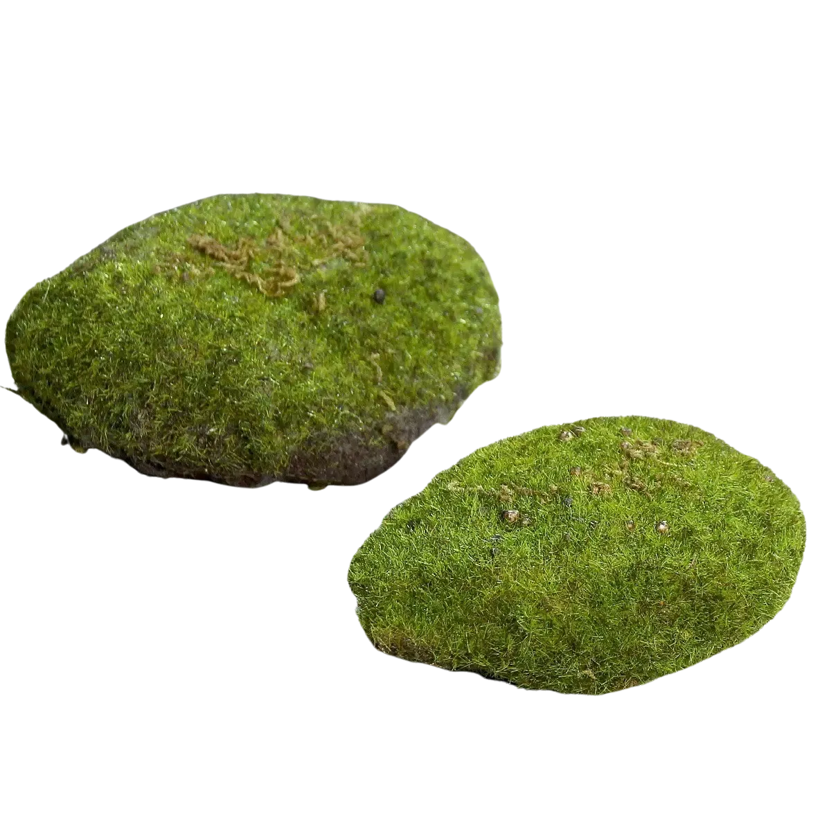 aplanta-89001_aplantaDeko_Moosschwamm__Hanni__2_Stueck__10_cm Deko Moosschwamm - Hanni | 2 Stück - 10 cm