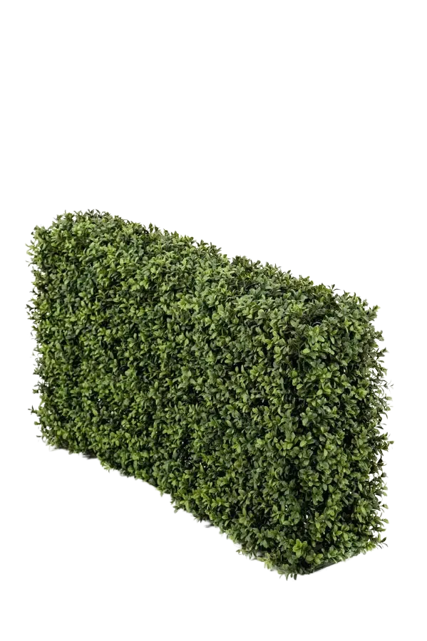 Künstliche Buchsbaumhecke - Jannis | 100x50 cm