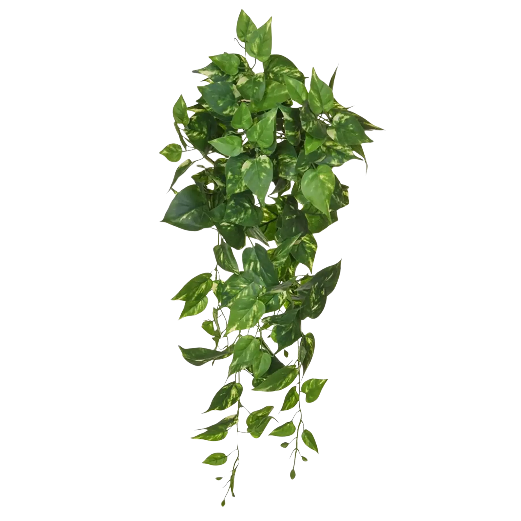 aplanta-TL3562_aplantaKuenstlicher_Pothos__Walter__80_cm Künstlicher Pothos - Walter | 80 cm