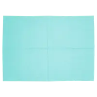 Medicom Healthcare B.V. Medicom DryBack Patientenservietten 33x45,5cm aqua Ktn 100