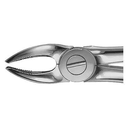 Aesculap AG ANATOMICA Zahnzange Fig.7 DH707R St