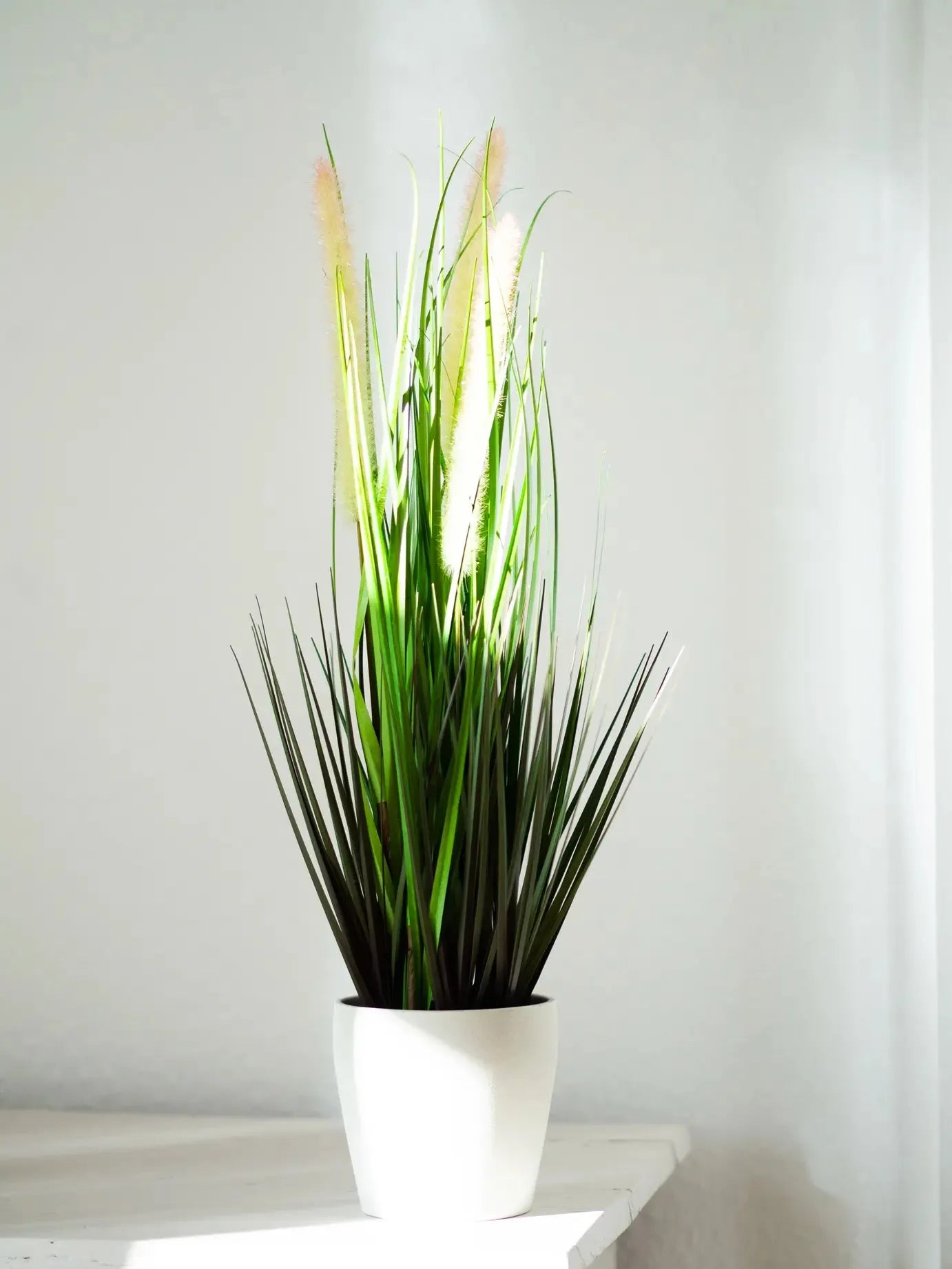 aplanta-418163_aplantaKuenstlicher_Fuchsschwanz__Hennes__53_cm Künstlicher Fuchsschwanz - Hennes | 53 cm