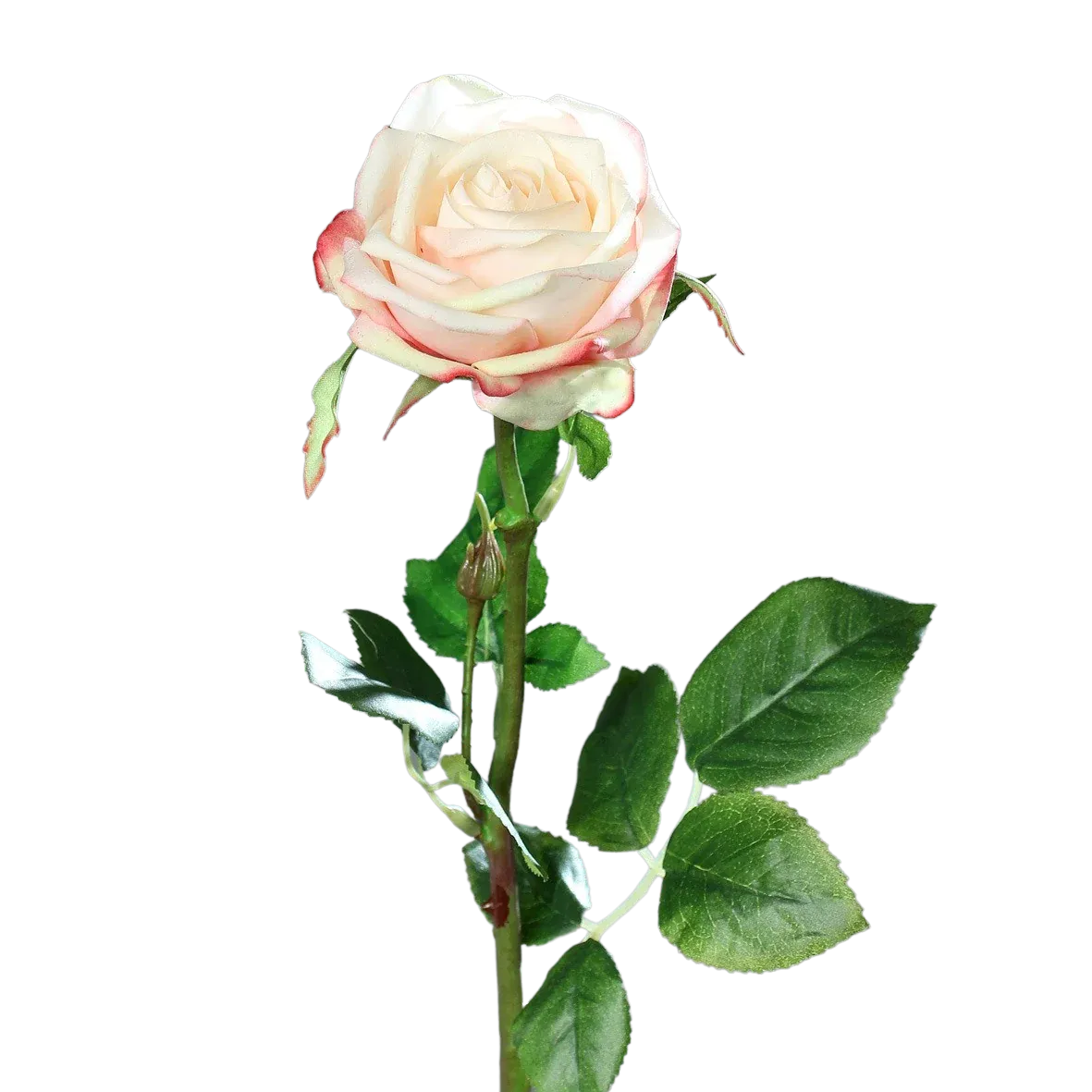 aplanta-43359-22_aplantaKuenstliche_Rose__Pam__66_cm Künstliche Rose - Pam | 66 cm
