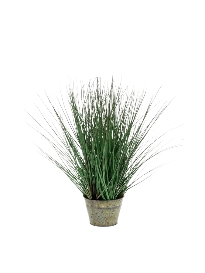 aplanta-418845_aplantaKuenstliches_Gras__Irene__50_cm Künstliches Gras - Irene | 50 cm