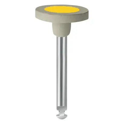 EVE Ernst Vetter GmbH EVE DIAPOL Polierer RA W8D fein Pa 10