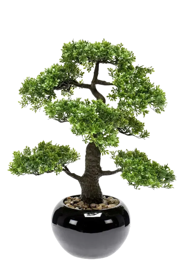 Künstlicher Ficus Bonsai - Sota | 47 cm
