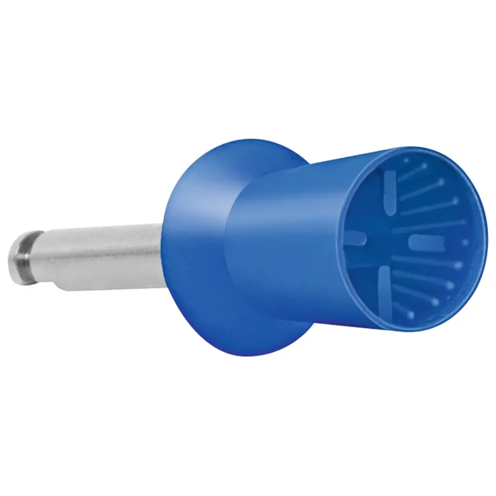 Becht Prophylaxepolierer - Packung 24 Stück blau, Kelch, weich, RA Becht Prophylaxepolierer - Packung 24 Stück blau, Kelch, weich, RA