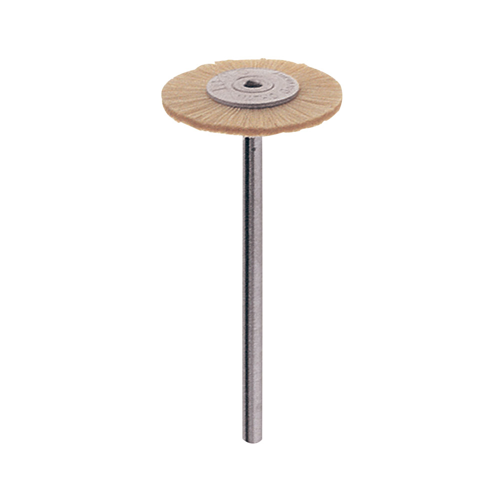 ZR Bürste Rad Ziege 19mm Hp Dtz