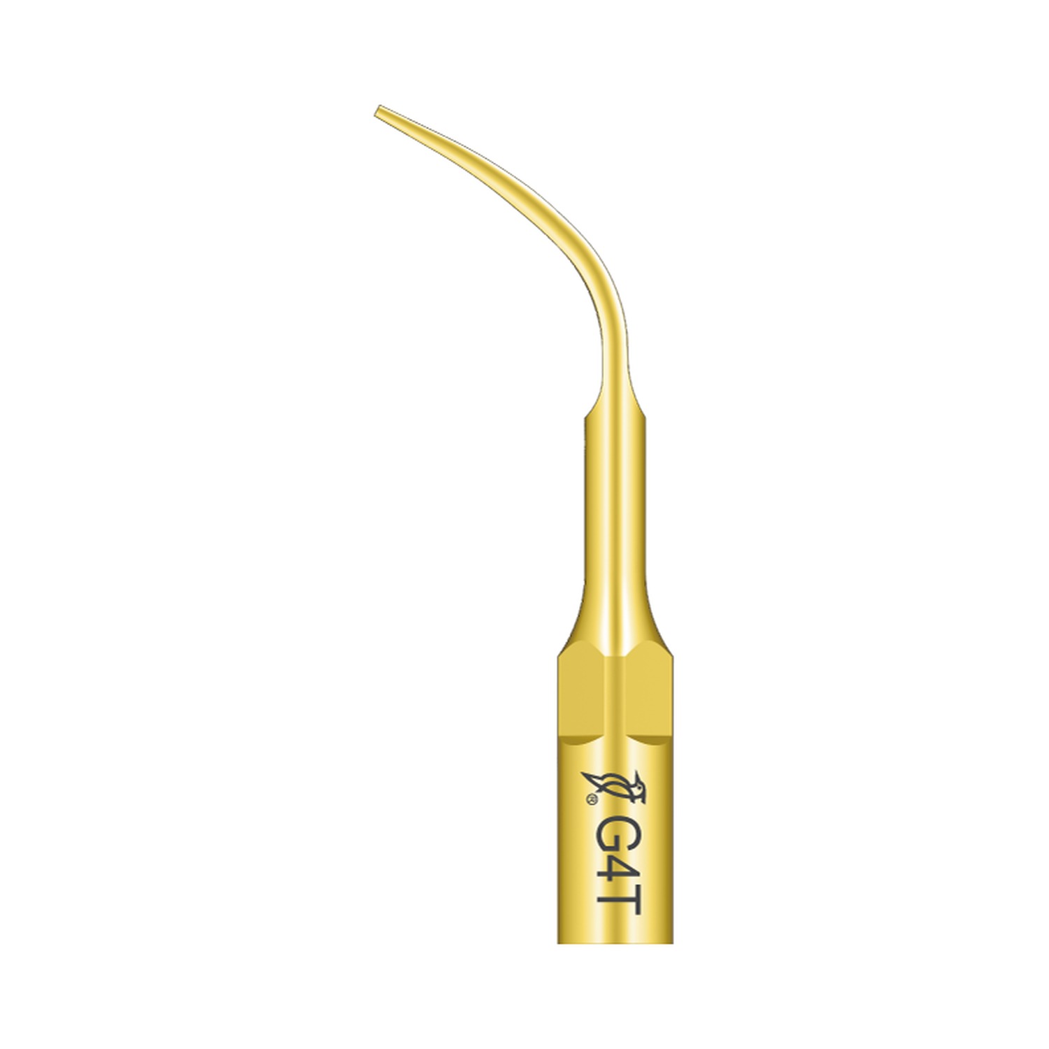 Woodpecker Ultraschallspitze G4T passend für den Einsatz mit EMS®