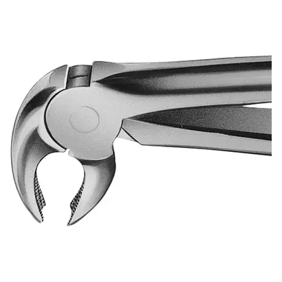 Aesculap AG ANATOMICA Zahnzange Fig.22 DH722R St