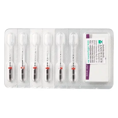 FKG Dentaire SA FKG BioRaCe BR2 NiTi Feilen 4% ISO025 25mm Pa 6