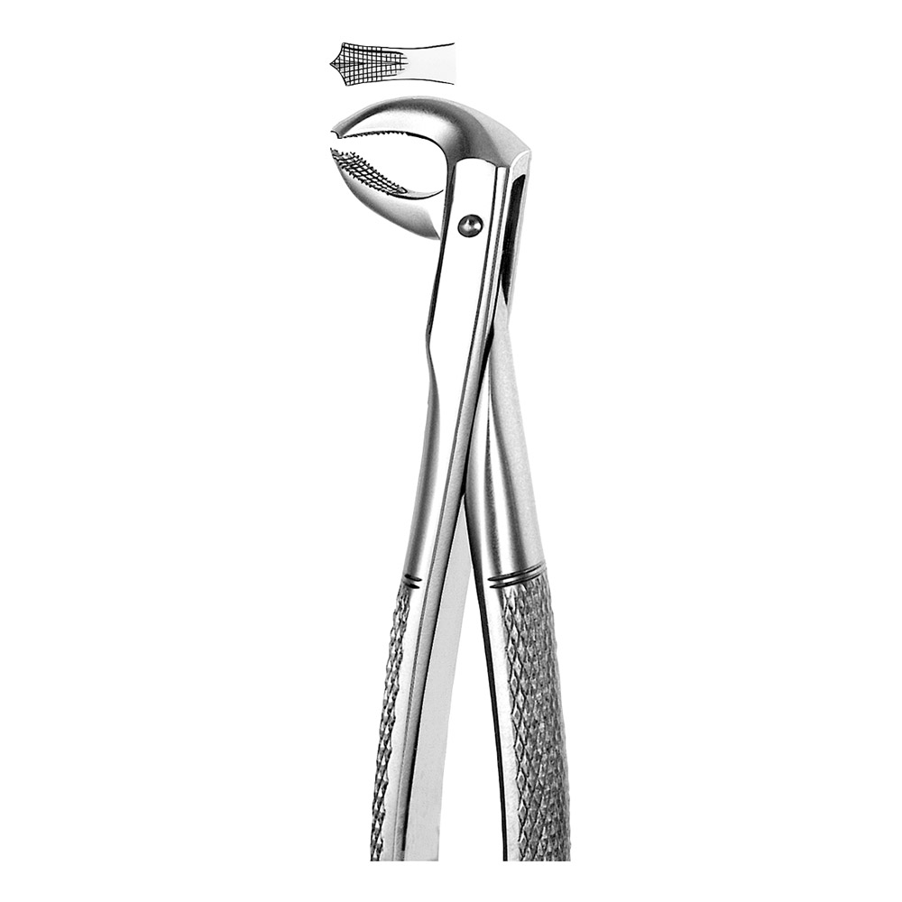 GX217472_Zahnzange_M73_UK_Molaren____St HM Excavator Wstl SH-1-014 6St