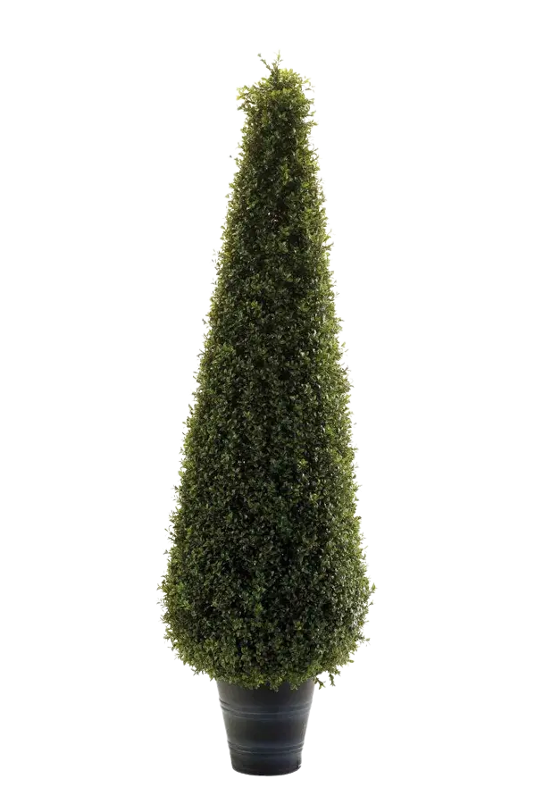 Künstliche Buchsbaumpyramide - Lucy | 135 cm