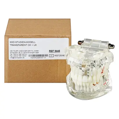 Kentzler-Kaschner Studienmodell - Stück transparent OK/UK